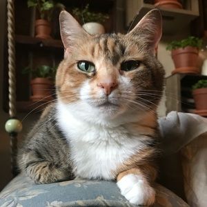 Meet your Posher, Meghan